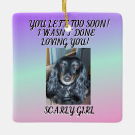 Ornamento De Cerâmica Uma Homenagem ao Amor Incondicional do Pet 1 foto