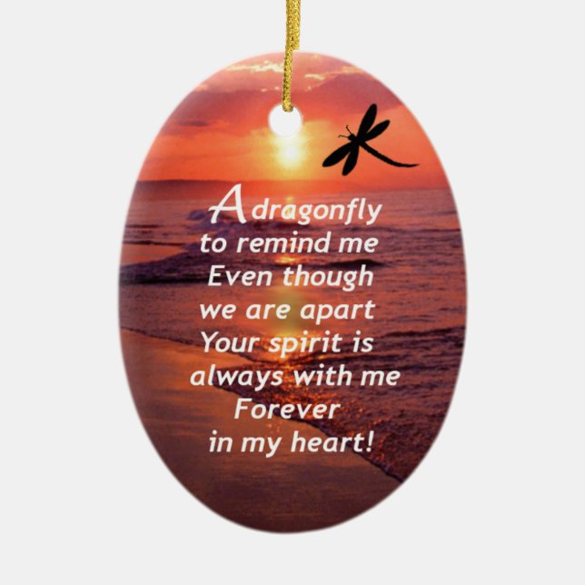 Ornamento De Cerâmica Uma libélula para lembrar-me (Frente)