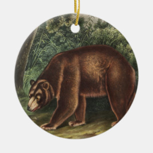 Ornamento De Cerâmica Urso Cinamão (Ursus Americanus var. Canela)