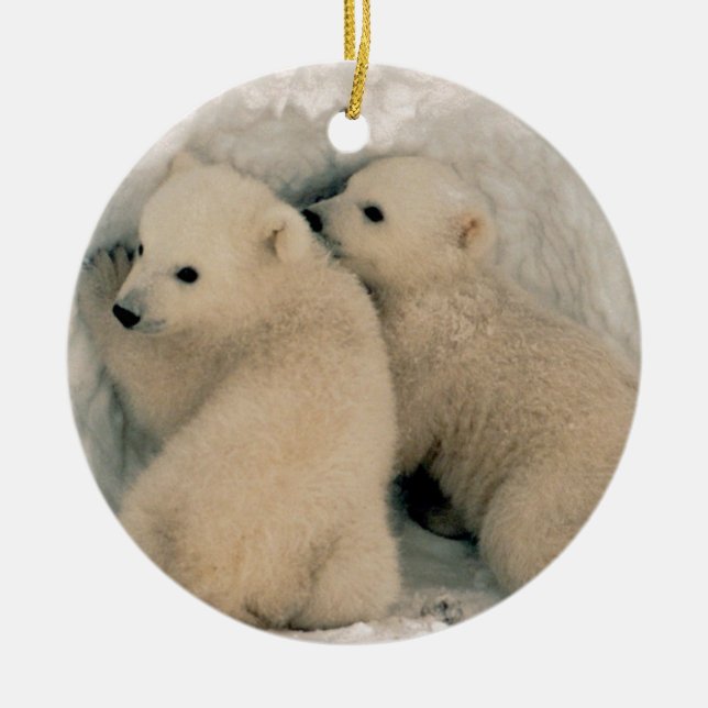 Ornamento De Cerâmica Urso Cubs polar do Alasca (Frente)