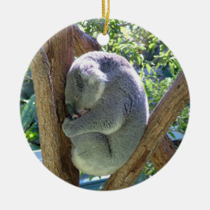Ornamento De Cerâmica Urso de Koala