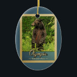 Ornamento De Cerâmica Urso de Viagens vintage do Parque Nacional da olim<br><div class="desc">Olimpiadas de ornamento viagens vintage do Parque Nacional,  com uma imagem de um urso preto sobre as pernas traseiras,  olhando para a floresta verde.</div>