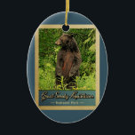 Ornamento De Cerâmica Urso do Parque Nacional das Montanhas do Enfumaçad<br><div class="desc">Enfumaçado de ornamento viagens vintage Montanhas do Parque Nacional,  com uma imagem de um urso preto sobre as pernas traseiras,  olhando para a floresta verde.</div>