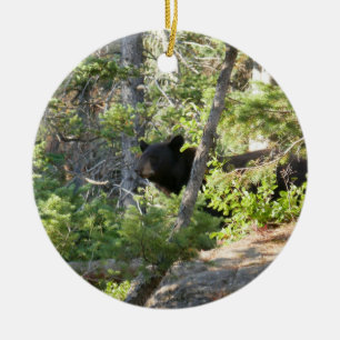 Ornamento De Cerâmica Urso Negro no Grand Teton