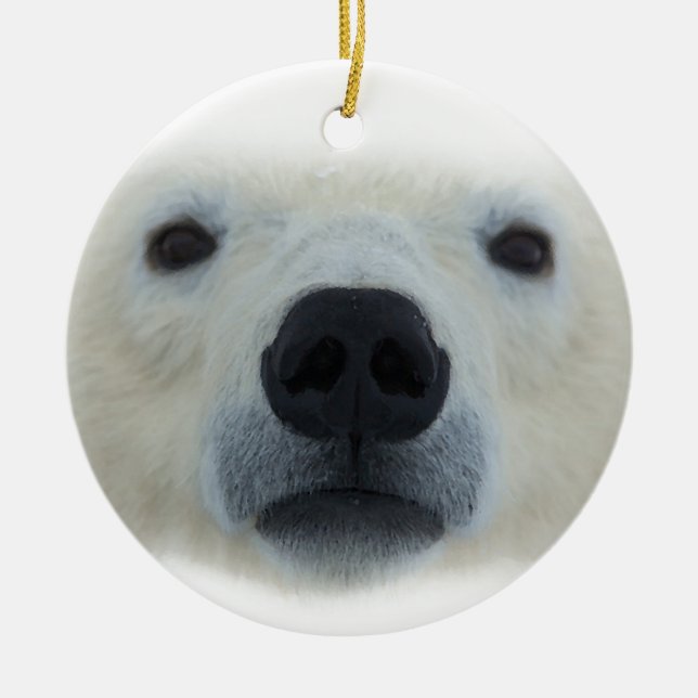 Ornamento De Cerâmica Urso Polar (Frente)