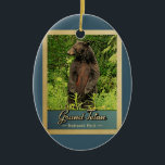 Ornamento De Cerâmica Urso Vintage do Parque Nacional Grand Teton<br><div class="desc">Estilo de viagens vintage,  imagem do Parque Nacional Grand Teton,  com um urso preto sobre as pernas traseiras,  olhando para a floresta verde.</div>