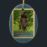 Ornamento De Cerâmica Urso Vintage do Parque Nacional Yellowstone<br><div class="desc">Ornamento viagens vintage Yellowstone National Park,  imagem com um urso preto sobre as pernas traseiras,  olhando para a floresta verde.</div>