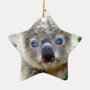 Ornamento De Cerâmica Ursos de Koala