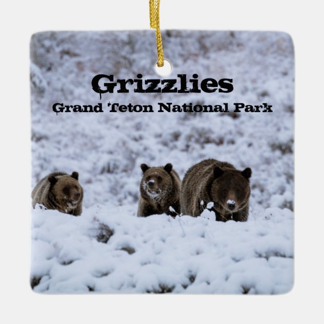Ornamento De Cerâmica Ursos Grizzly no Parque Nacional de Snow Grand Tet (Frente)