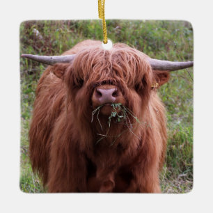 Ornamento De Cerâmica Vaca do planalto escocês