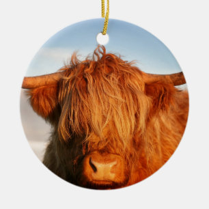 Ornamento De Cerâmica Vaca escocesa das montanhas - Scotland