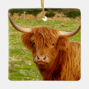 Ornamento De Cerâmica Vaca Highland escocesa