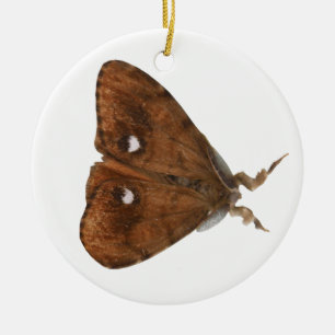 Ornamento De Cerâmica Vapourer Moth Ornament