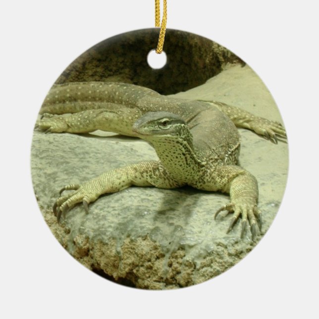 Ornamento De Cerâmica Varanus gouldii (Frente)