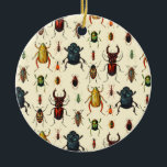 Ornamento De Cerâmica Variedades do besouro<br><div class="desc">Criado com uma versão alterada de um chromolithograph 1891 dos coleópteros do vintage.</div>