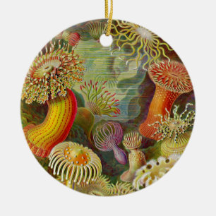 Ornamento De Cerâmica Vida do oceano do Actinae de Ernst Haeckel