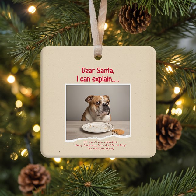 Ornamento De Cerâmica Vinage Funny Dog Pet Photo Christmas Holiday (Criador carregado)