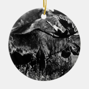 Ornamento De Cerâmica Vintage EUA Alasca alce macho 1970