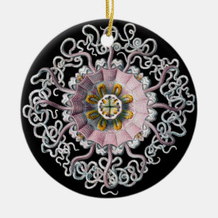 Ornamento De Cerâmica Vintage Haeckel Personalizável
