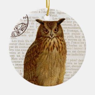 Ornamento De Cerâmica Vintage Owl...