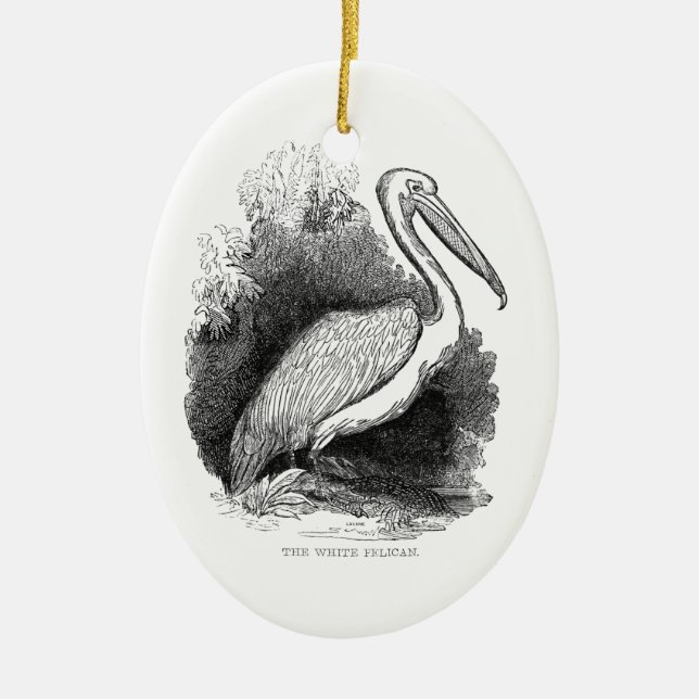 Ornamento De Cerâmica Vintage White Pelican (Frente)