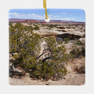 Ornamento De Cerâmica Vista de Canyonlands desde a Trilha Cave Springs