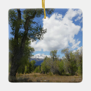 Ornamento De Cerâmica Vista Ensolarada da Montanha Grand Teton