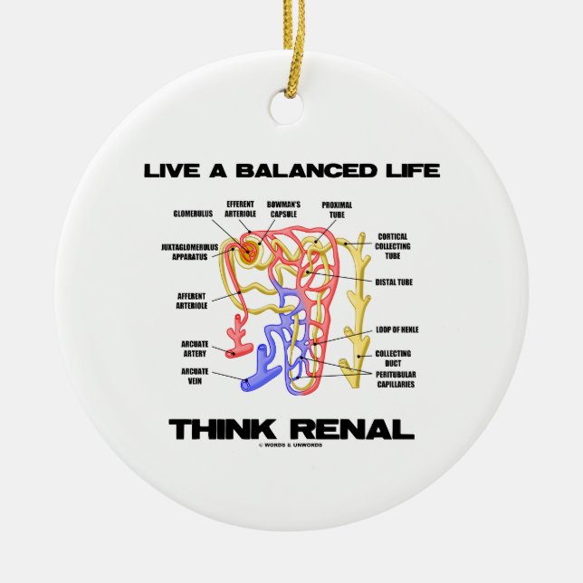 Ornamento De Cerâmica Vive uma vida equilibrada pensa renal (Nephron) (Frente)