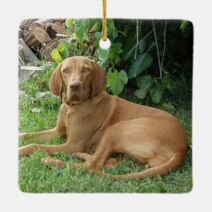 Ornamento De Cerâmica Vizsla Hound Dog