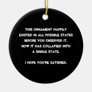Ornamento De Cerâmica Você desmoronou ele! Humor da física de quantum
