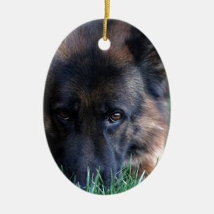 Ornamento De Cerâmica Vom Leithawald de Randy do german shepherd