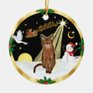 Ornamento De Cerâmica Voo noturno - Ruddy Abyssinian cat