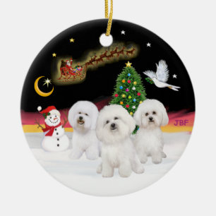 Ornamento De Cerâmica Voo Noturno - Três Bichon Frise