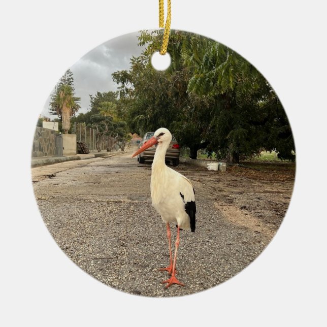Ornamento De Cerâmica Walking Stork Ornament (Frente)