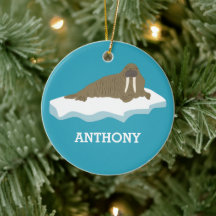 Walrus em uma Iceberg Ilustração Personalizada