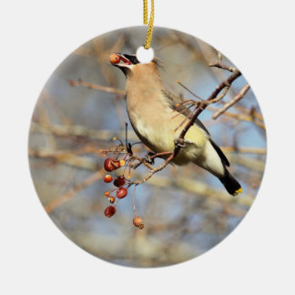 Ornamento De Cerâmica Waxwing de cedro que come bagas