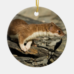 Ornamento De Cerâmica Weasel de cheiramento