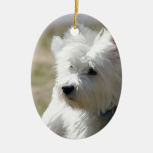Ornamento De Cerâmica Westie na primavera