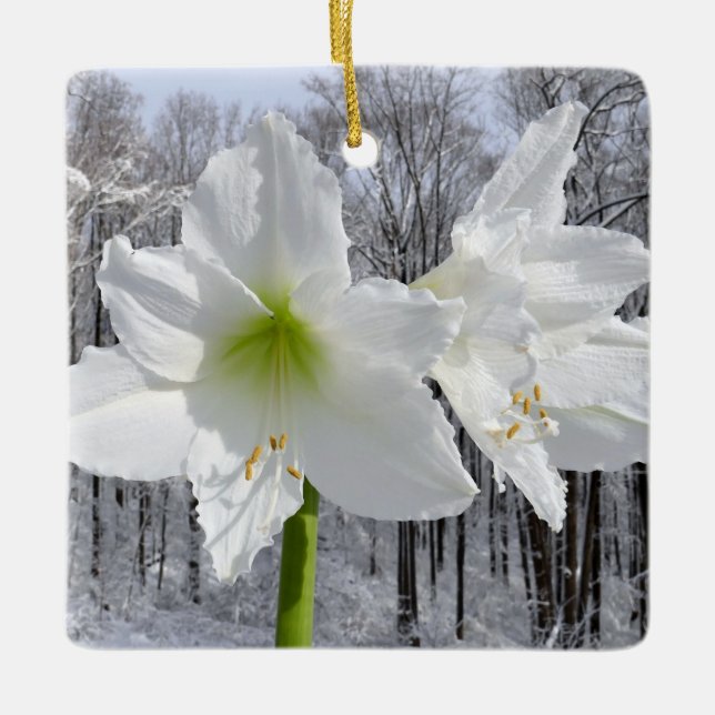 Ornamento De Cerâmica White Amaryllis e Snow I (Frente)