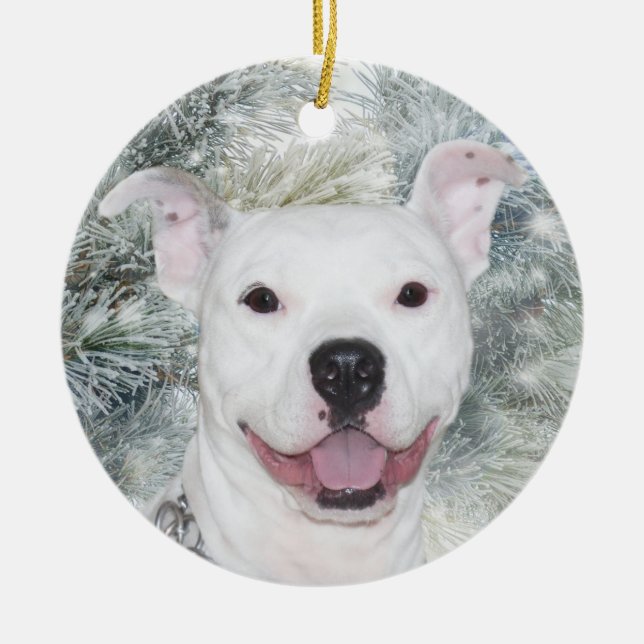 Ornamento De Cerâmica White Christmas Pitbull (Frente)
