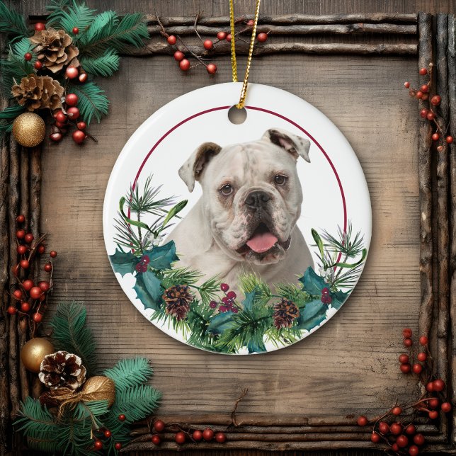 Ornamento De Cerâmica White English Buldogue Evergreen Wreath (Criador carregado)
