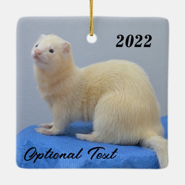 Ornamento De Cerâmica White Pet Ferret Personalizado (Verso)