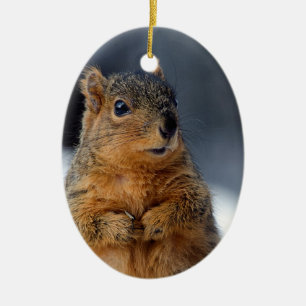 Ornamento De Cerâmica Who Me Squirrel
