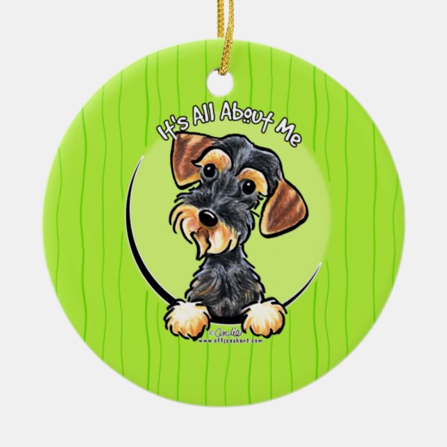 Ornamento De Cerâmica Wild Boar Wirehaired Dachshund IAAM (Frente)