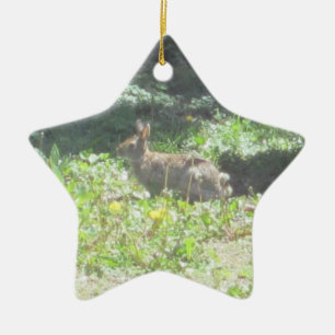 Ornamento De Cerâmica Wild Bunny Ornament