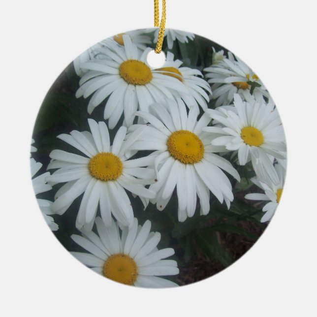 Ornamento De Cerâmica Wild Daisies (Frente)
