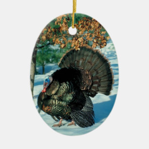 Ornamento De Cerâmica Wild Turkey Photo Holiday Decorations Christmas
