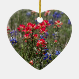Ornamento De Cerâmica Wildflowers do pincel indiano e do Bluebonnet de