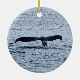 Ornamento De Cerâmica Wildlife Humpback Whale Tail Foto