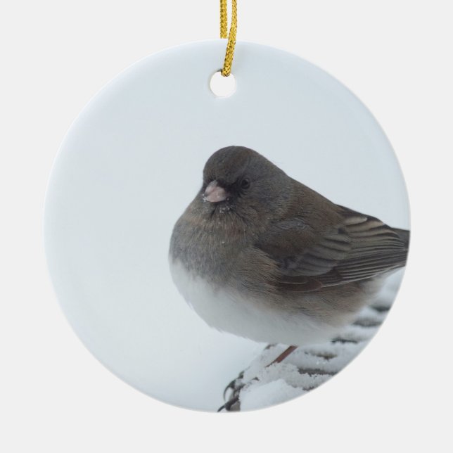 Ornamento De Cerâmica Winter Junco (Frente)